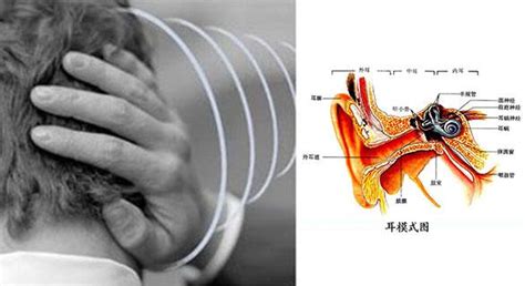 左耳一直耳鳴|耳朵嗡嗡叫，持續耳鳴怎麼辦？一文看懂「耳鳴」的8。